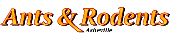Asheville Ant Exterminator & Rodent Control Company Logo